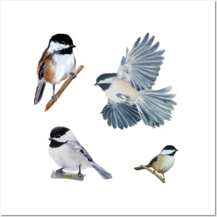 Painted Chickadee Set Posters and Art